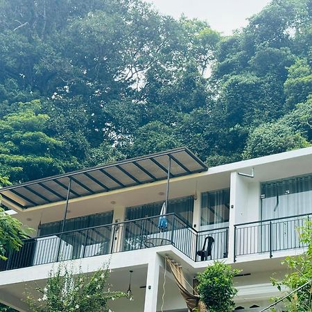 Nibana Retreat Wayanad Villa Koroth Eksteriør billede